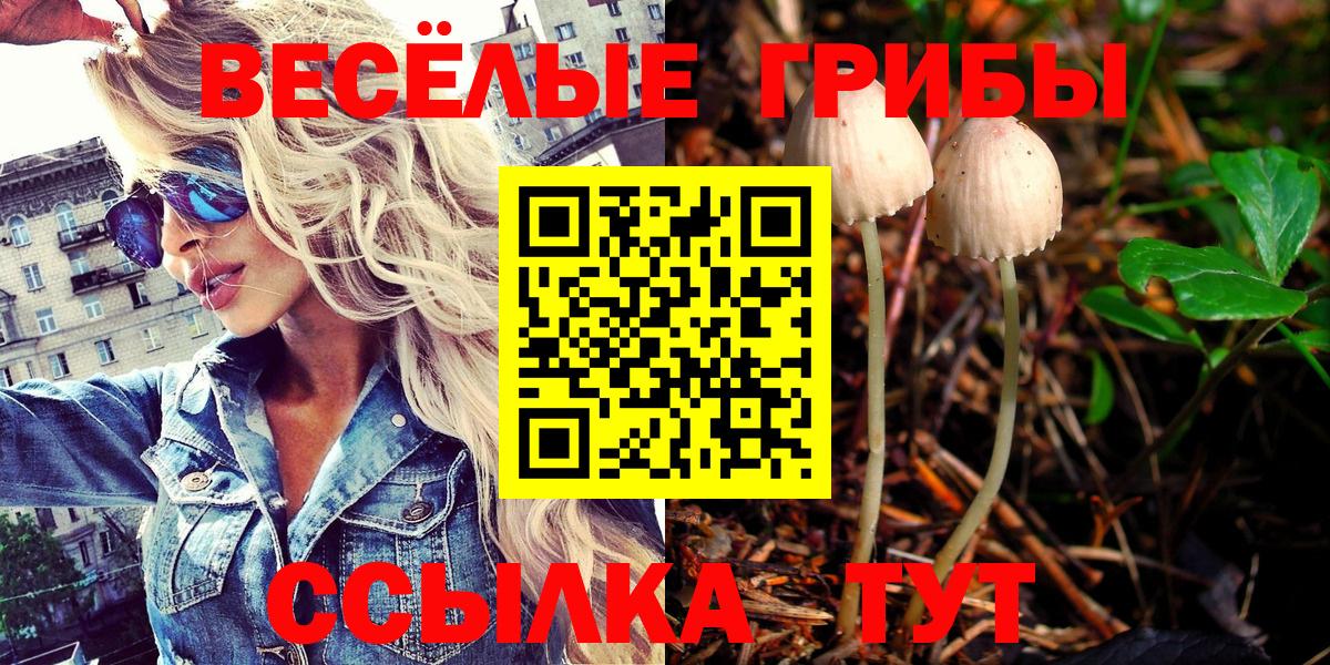 Галлюциногенные грибы MAGIC MUSHROOMS Корсаков